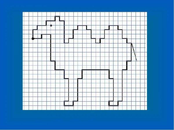 Диктант по клеточкам