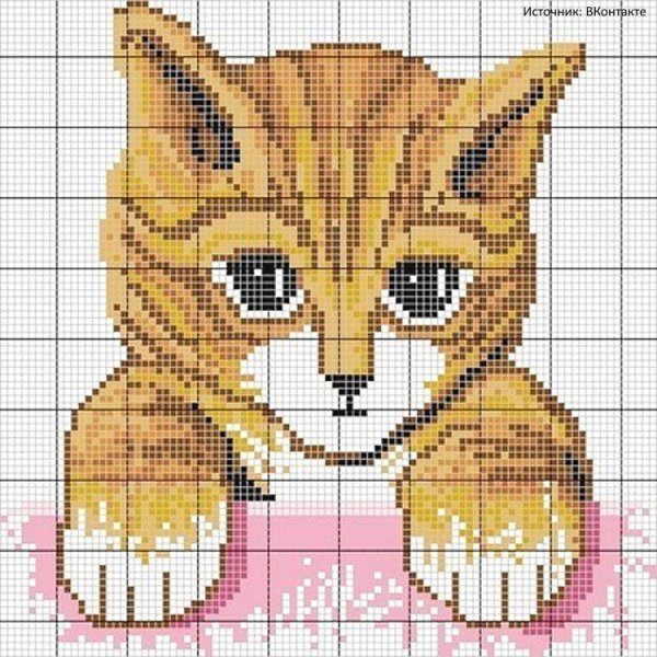 Котята по клеточкам