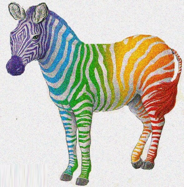 Зебра в клеточку