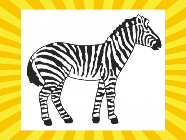 Контур зебры без полосок