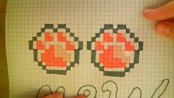 Рисование по клеточкам лапка