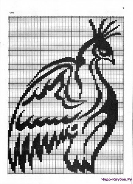 Жаккард птицы спицами