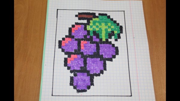 Рисование по клеточкам виноград