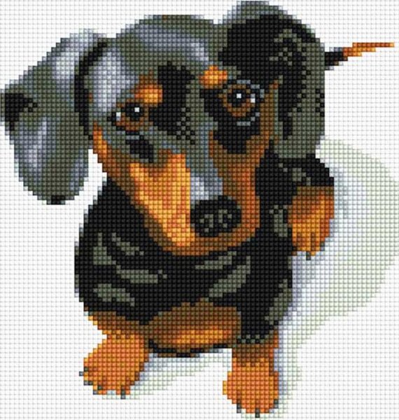 Алмазная мозаика такса жесткошерстная