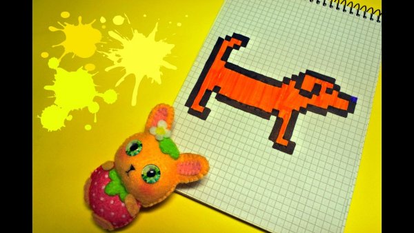 Такса по клеточкам