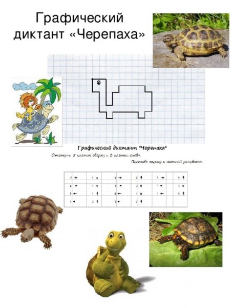 Графический диктант Черепаза