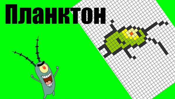 Планктон по клеткам