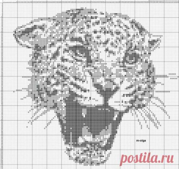 Морда леопарда рисунок карандашом