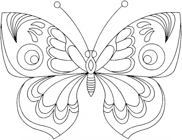 Бабочка раскраска