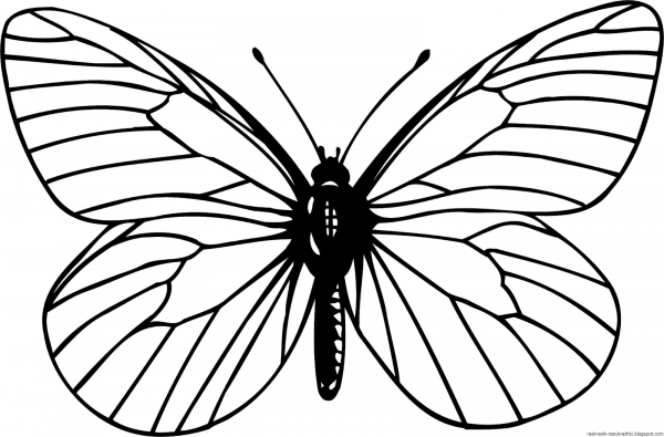 Бочка раскраска