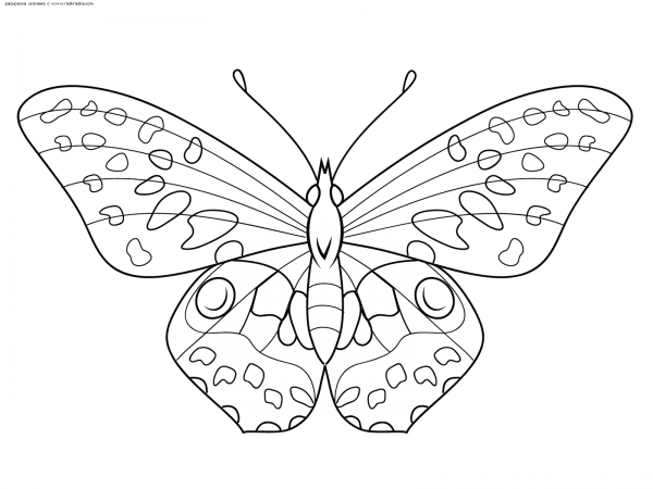 Бабочки для раскрашивания детям