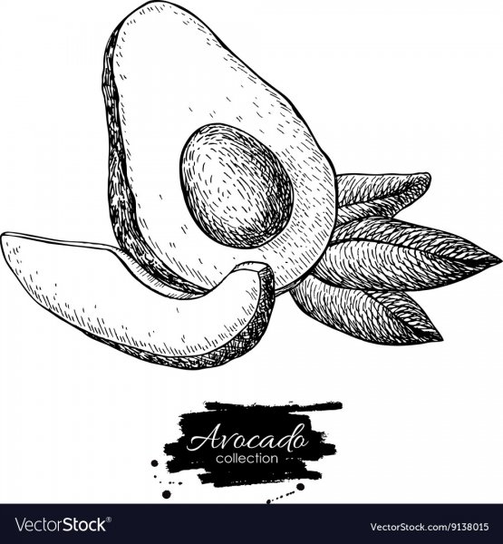 Авокадо стилизация