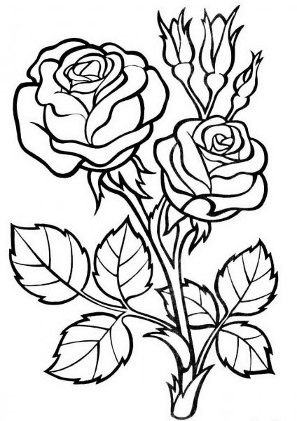 Раскраски для девочек 12л