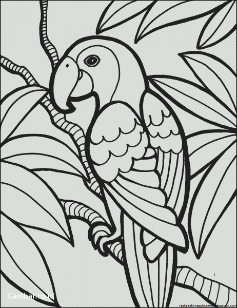 Раскраска для девочек красивые