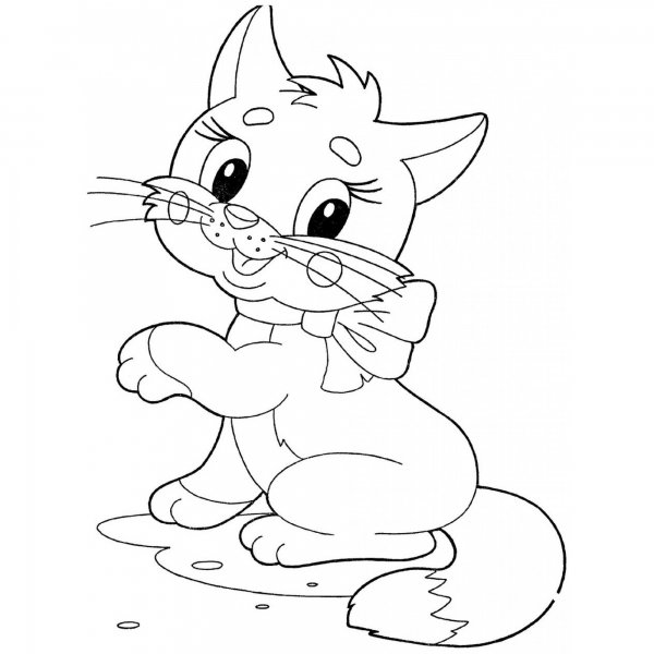 Котенок для раскрашивания