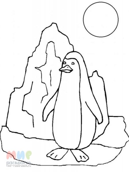 Пингвин печать