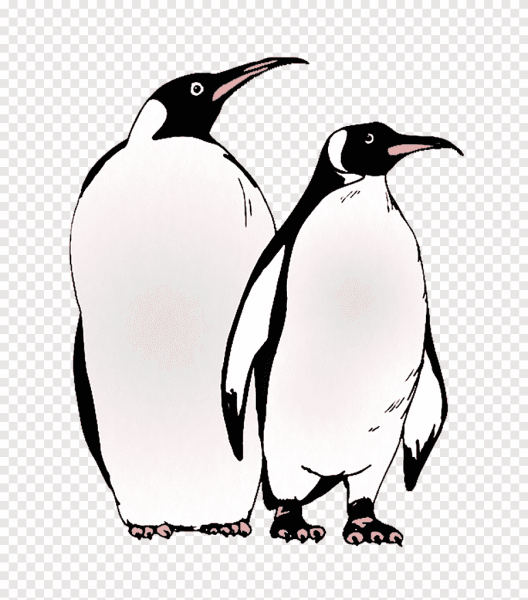 Пингвины из Мадагаскара раскраска
