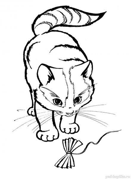 Раскраска кофта