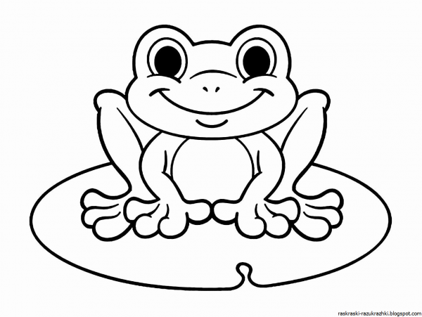 Лягушка раскраска