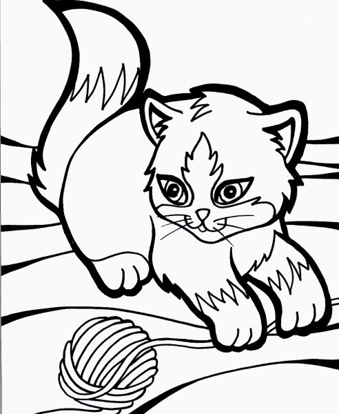 Раскраска котенок