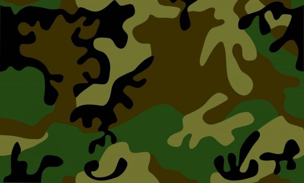 Защитный цвет военной формы