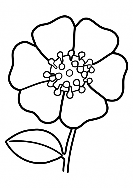 Раскраска цветочек