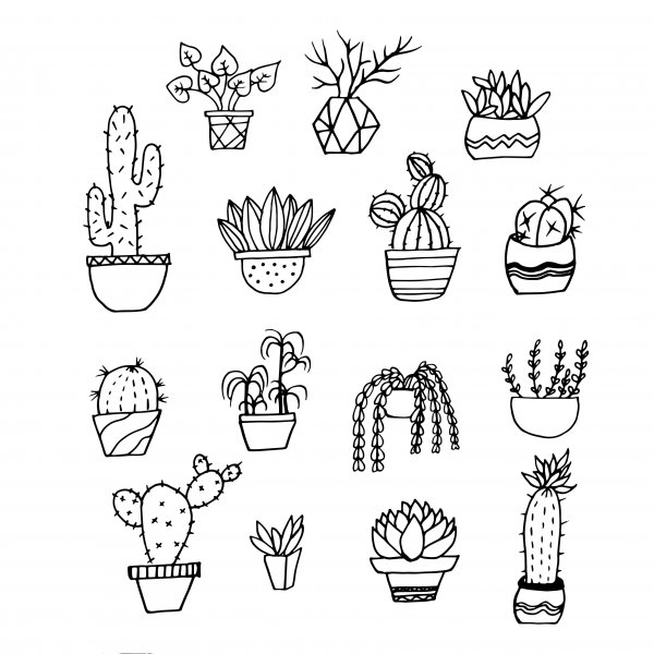 Кактус для распечатывания