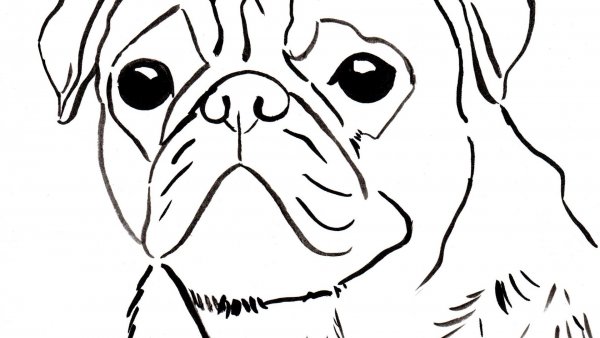 Раскраска собачка