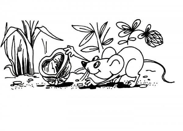 Владимир Сутеев раскраски