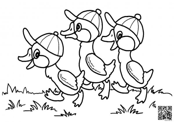 Утенок раскраска для малышей