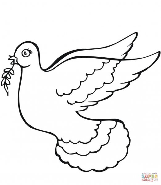 Голубь мира раскраска для детей