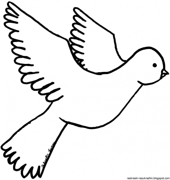 Голубь мира раскраска