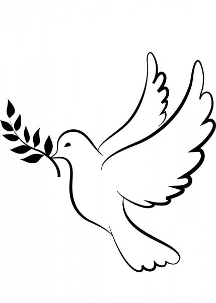 Голуби к 9 мая