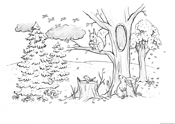 Раскраска лес для детей