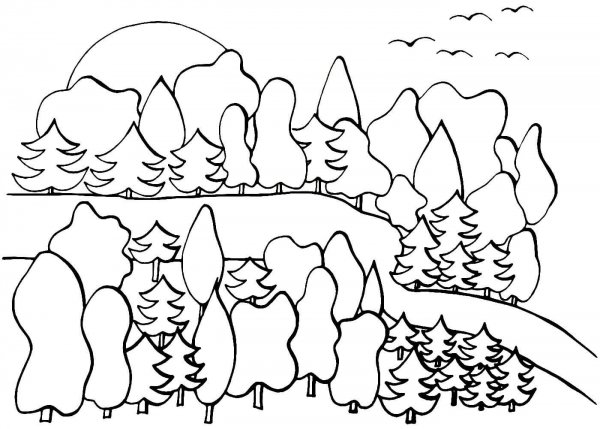 Раскраска леса для детей