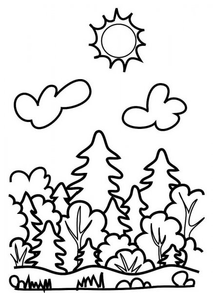 Раскраска леса