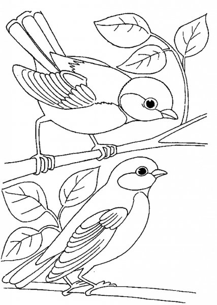 Синичка раскраска