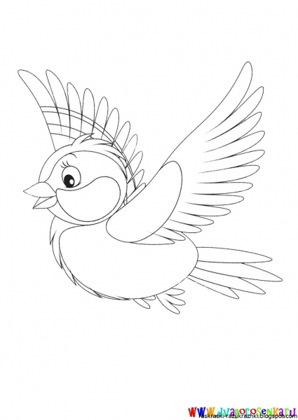 Синица раскраска