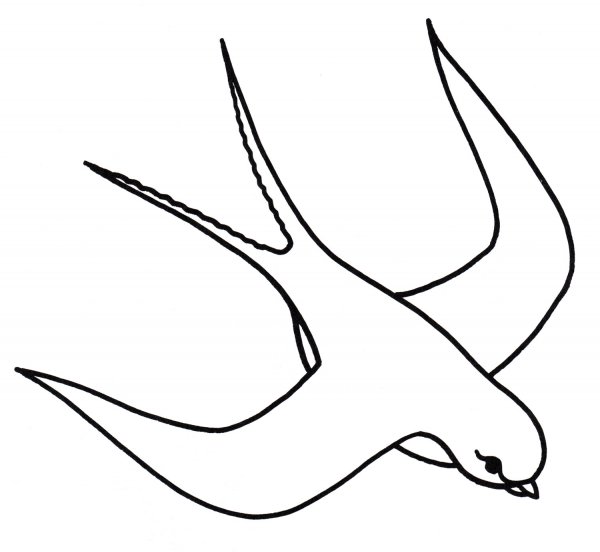 Раскраска птицы Ласточка