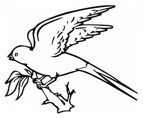 Ласточка раскраска для детей