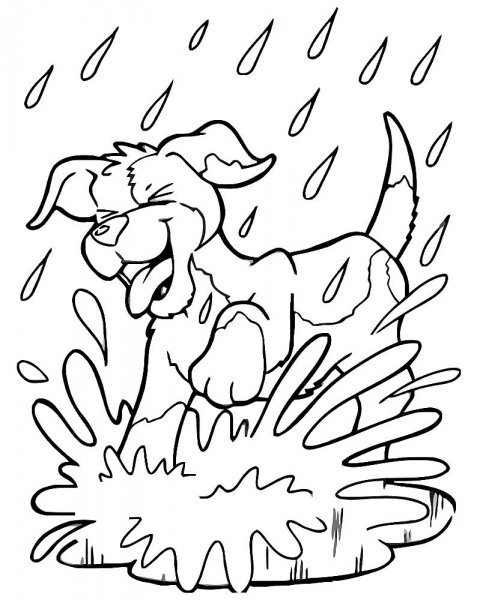 Раскраски о воде для дошкольников