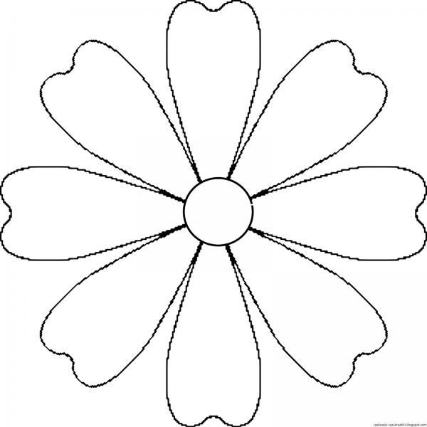 Раскраска цветок Ромашка