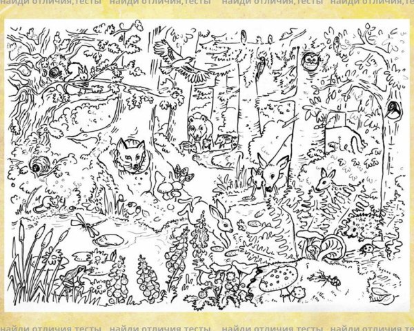 Спрятанные буквы