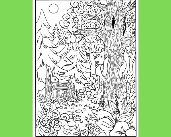 Найди предметы задания для школьников