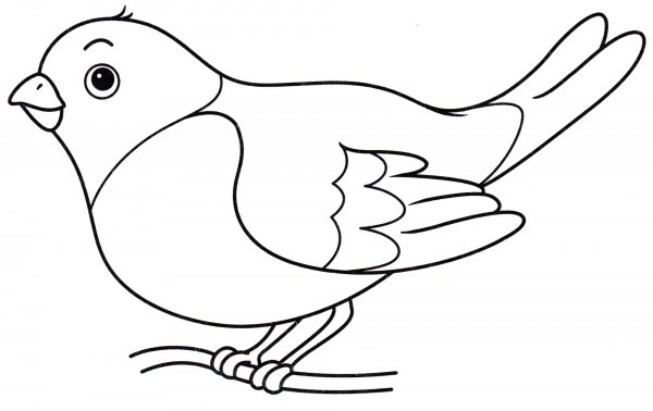 Снегирь раскраска