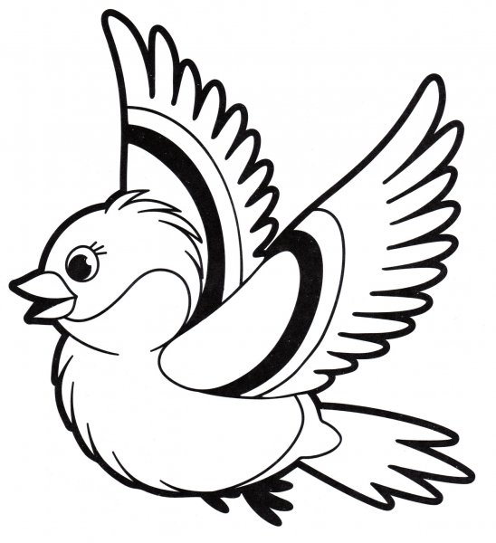 Птичка раскраска