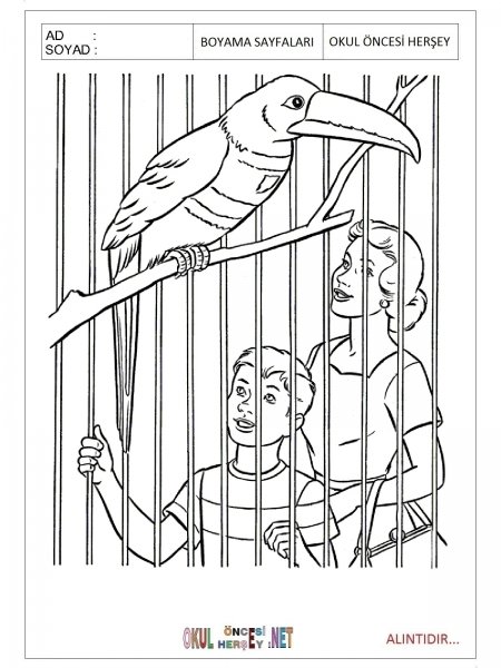 Зоопарк раскраска для детей