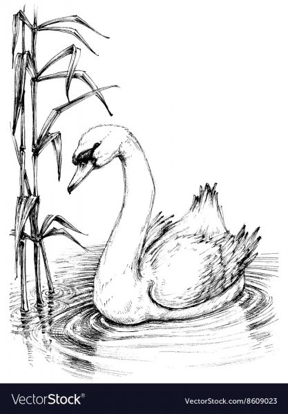 Раскраска к рассказу приемыш мамин Сибиряк