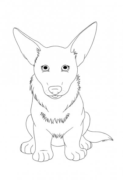 Раскраска собачка корги