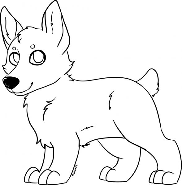 Фрилайн корги